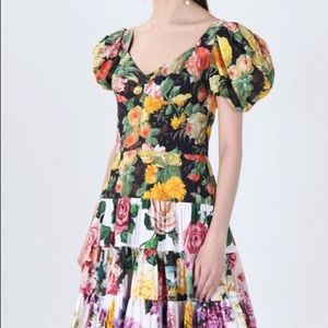 Dolce and Gabanna (new w/tags)